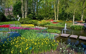 park, nature