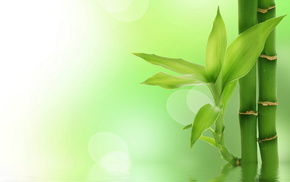 landscape, nature, leaves, water