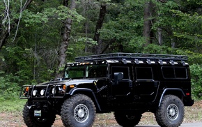 black, cars, forest