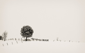 minimalism, fence, tree