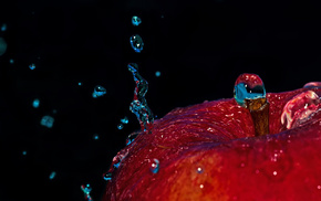 drops, water, macro