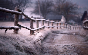 fence, motion blur, winter