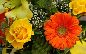bouquet, flowers