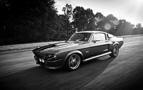 Ford Mustang Shelby, Ford Mustang, car