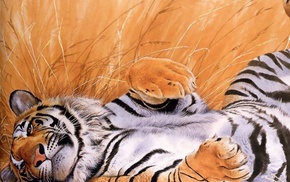 tiger, animals