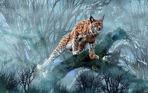 animals