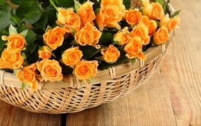 flowers, roses, bouquet, wallpaper