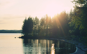 light, lake, forest, nature