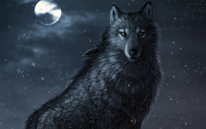 wolf, wallpaper, animals