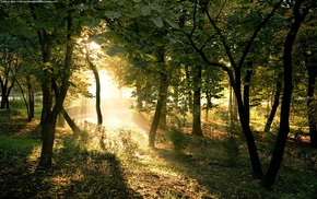 park, nature