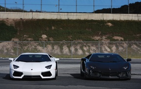 cars, Lamborghini, aventador