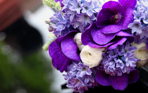 flowers, bouquet, white