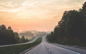 nature, Sun, trees, sky, mist