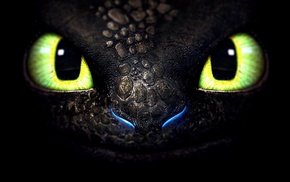 Toothless, How to Train Your Dragon, dragon