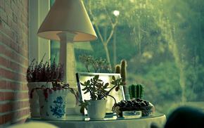 girl, house, plants