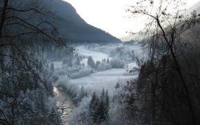 trees, snow, mountain, winter