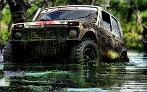cars
