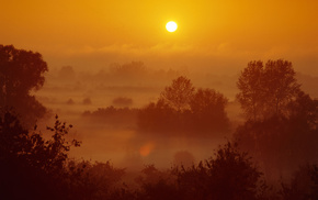 sunset, autumn, mist