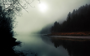 river, reflection, mist, nature, forest