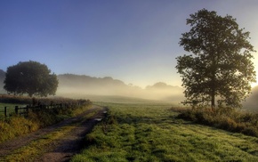 landscape, mist, nature