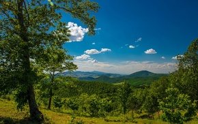 nature
