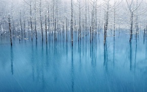 winter, trees, ice, water, nature