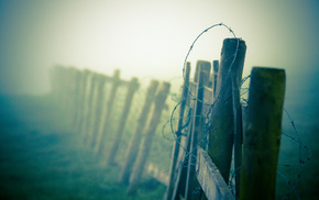 fence, macro, mist