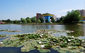 lake, nature, park