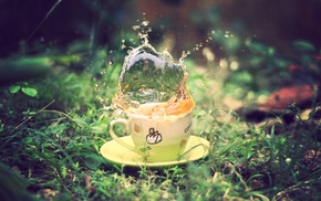 cup, splash, macro, Earth, tea