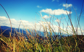 grass, sky, clouds, macro, mountain