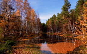 landscape, river, forest, autumn