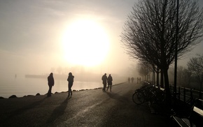 trees, people, mist, sea, stunner