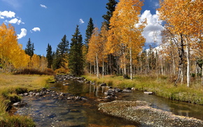 autumn, landscape, forest, river