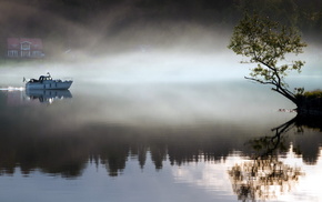 morning, lake, nature, boat, tree