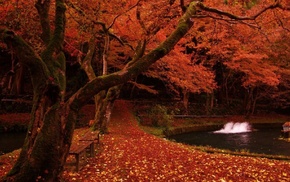 pond, autumn, foliage