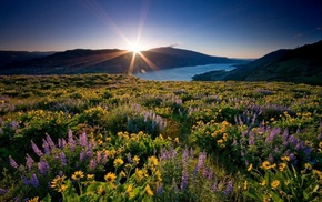 river, Sun, nature