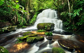 stones, forest, jungle, waterfall, river