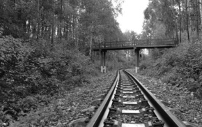 bridge, forest, nature