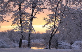 snow, trees, winter, sunset