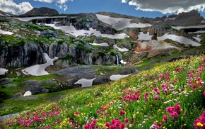 flowers, nature, mountain, glade