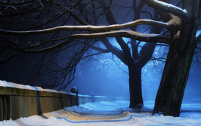 snow, winter, night, nature, light