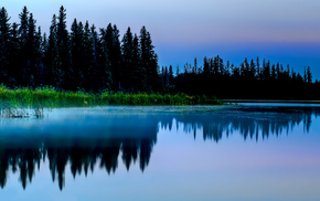 nature, evening, forest, lake