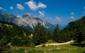 nature, forest, mountain