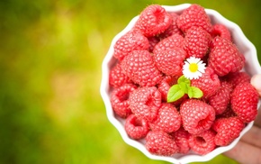 berries, delicious, flower