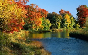 autumn, river, trees, coast