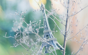 macro, twigs, Eiffel Tower