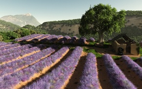 flowers, 3D, field, art