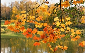 river, autumn, leaves