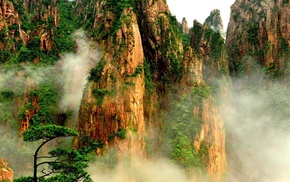 mist, nature, mountain, forest