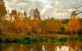 autumn, nature, trees, lake